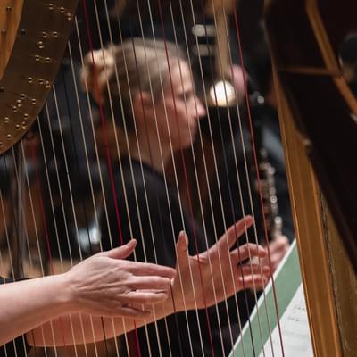 Photograph of a harp