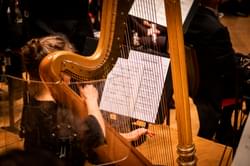 A woman plays a harp, reading from sheet music.