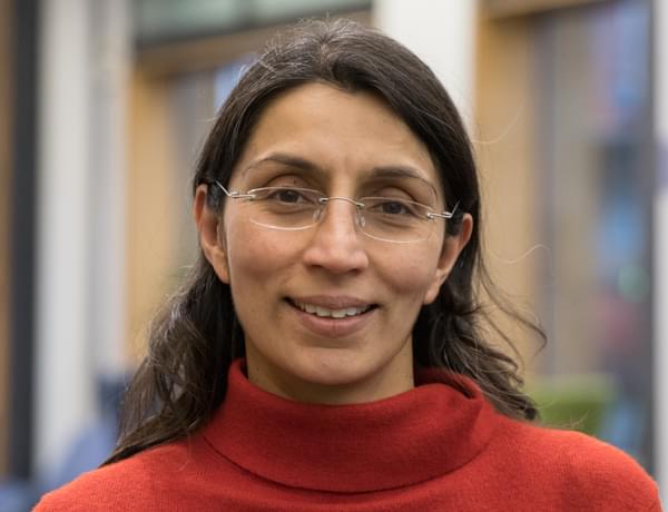 Headshot of Sundash Jassi